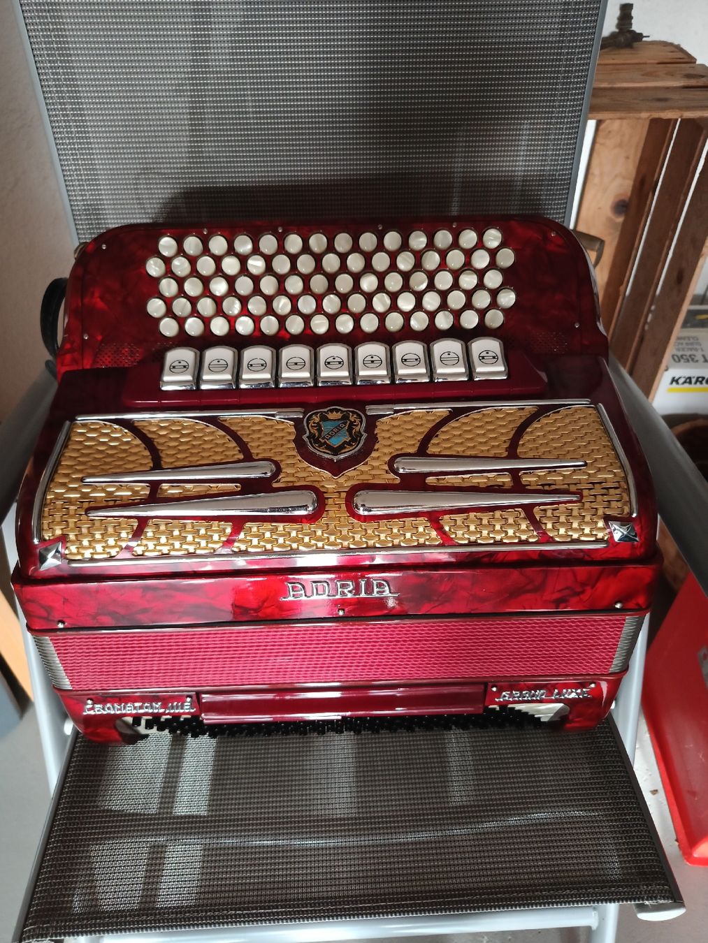 Adria Strumenti musicali: Handorgel – Usato da Speicherschwendi venduto da papaheyer