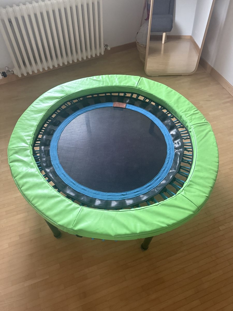 Bellicon Trampolini: Bellicon Trampolin mit Haltestange - LETZTE GELEGENHEIT – Usato da Schaffhausen venduto da Minzli380