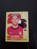 panini 2026 egy 15