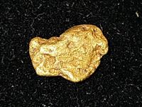 Grosser Schweizer Gold Nugget (Eigenfund)