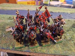 Warhammer Ritter, Bretonnia Knights, Top bemalt!