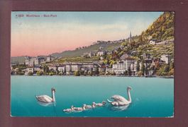 MONTREUX - Bon Port - Cygnes - 1914