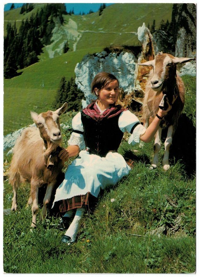 Cartoline postali: Mädchen in Tracht mit Ziegen – Usato da Frauenfeld venduto da POML