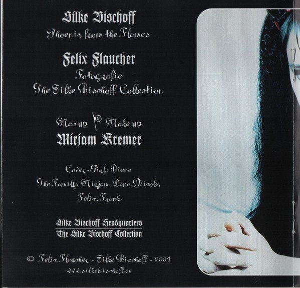 CDs: Silke Bischoff PHOENIX FROM THE FLAMES Downtempo Synth-PopCD – Gebraucht aus Kandergrund von Sososo 5