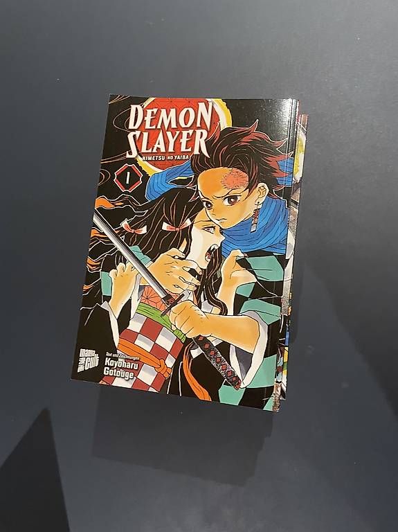 Fumetti: Manga Demonslayer 1-8 – Usato da Breitenbach venduto da kus_fq9h 1
