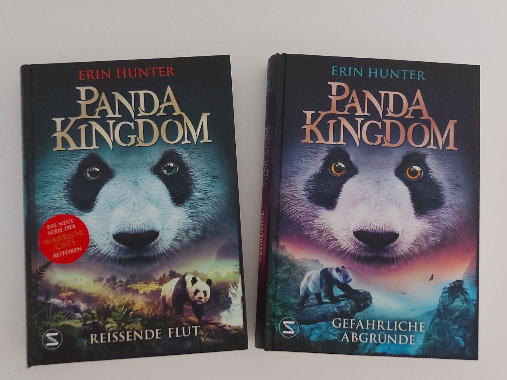 Libri: Kinderbücher "Panda Kingdom", Band 1-2 – Nuovo e nell'imballaggio originale da Wabern venduto da Irakene