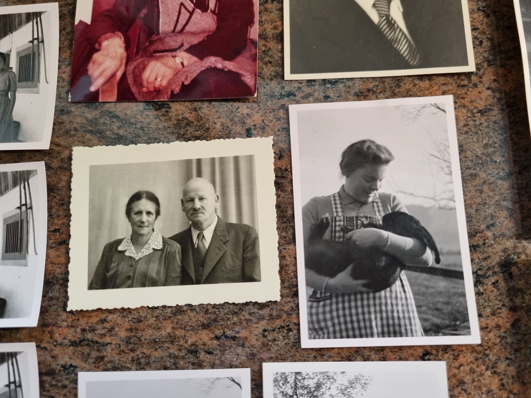 Foto & Immagini: Schaffhausen und Umgebung – Usato da Trachslau venduto da post35 5