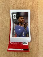Panini Coca Cola