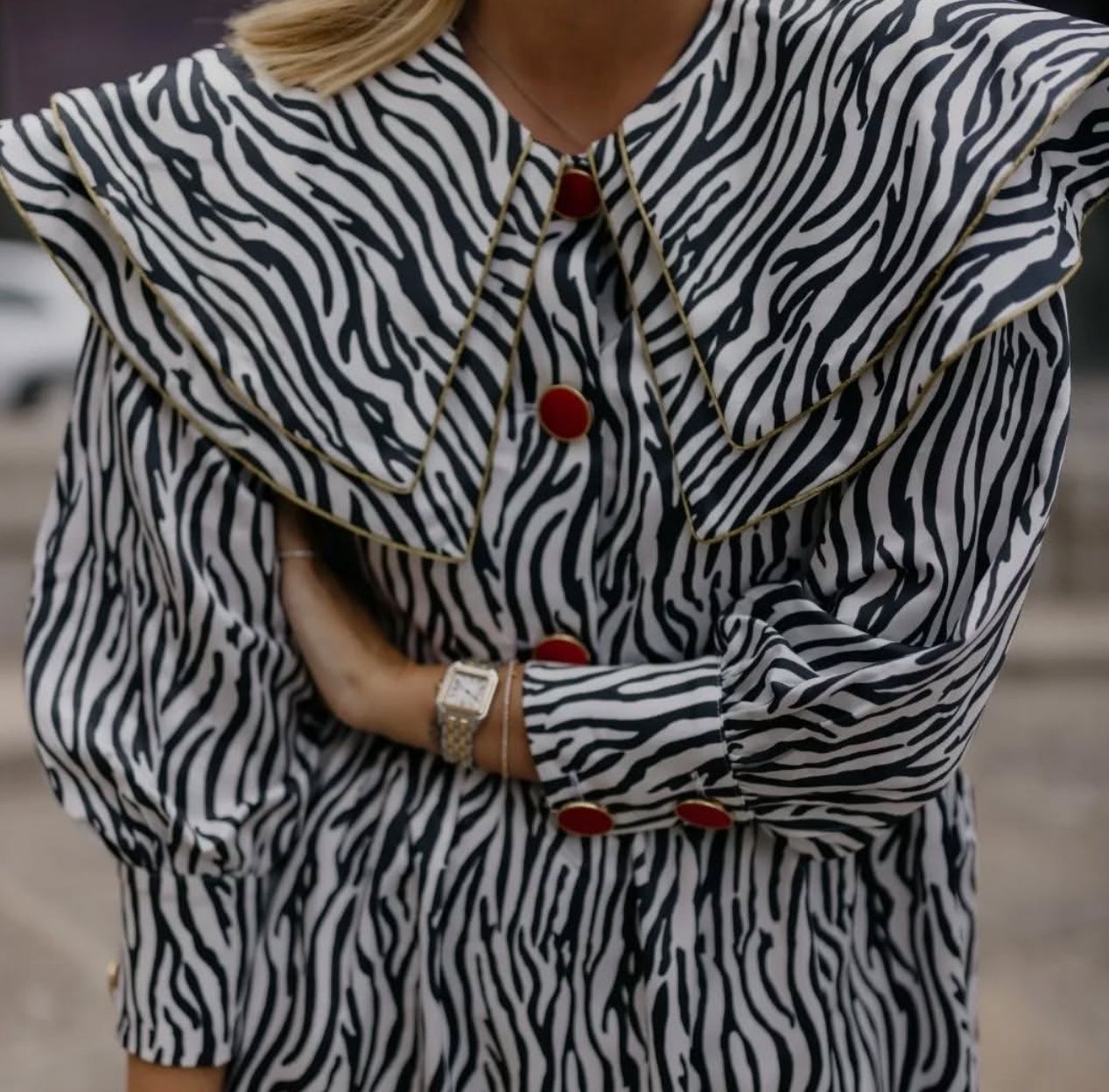 Zebra Vestiti: Zebra Kleid mit Statement Kragen M neu – Usato da Vitznau venduto da cat_qsh8 1