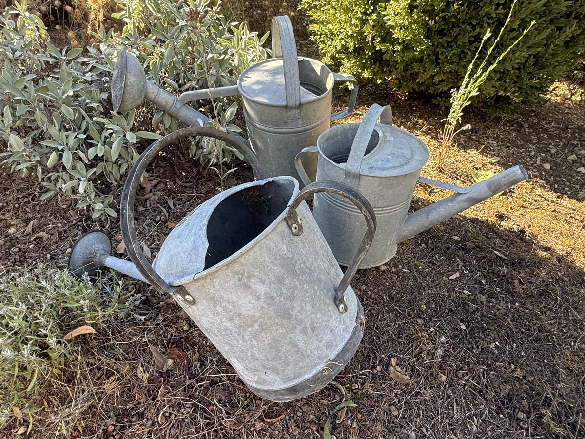 Bewässern & Giessen: Gartengiesskannen Zink – Gebraucht aus St. Pantaleon von Ymanu