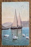 Segelschiff, Schwäne, Lac Léman 1906 n. Winterthur
