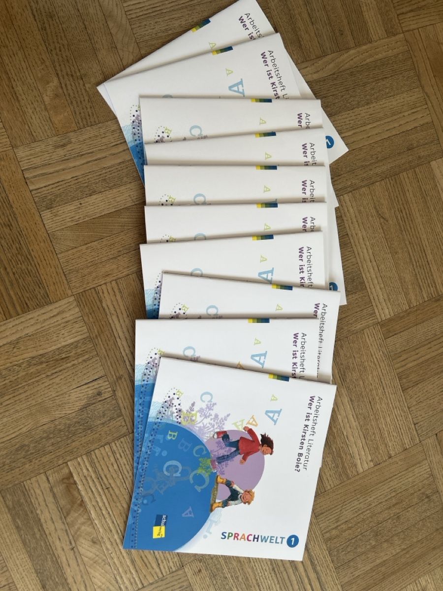 Livres: Sprachwelt Arbeitshefte, Lehrmittel – D'occasion à Grasswil par Britt 1