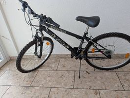 Stone Velo