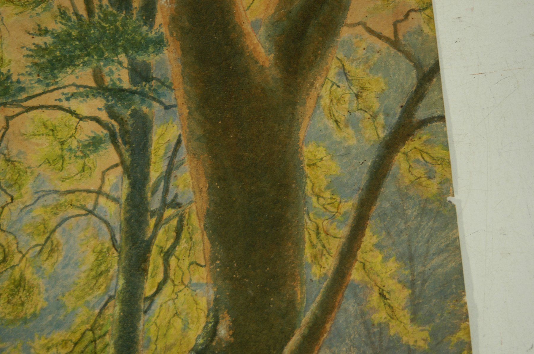 Dipinti: Waldbild gemalt auf Karton – Usato da Herisau venduto da Wisen 5