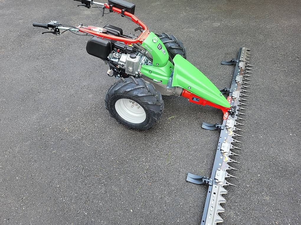 Rapid Tutte le macchine: Rapid Monta M161 – Usato da Giswil venduto da Hans83