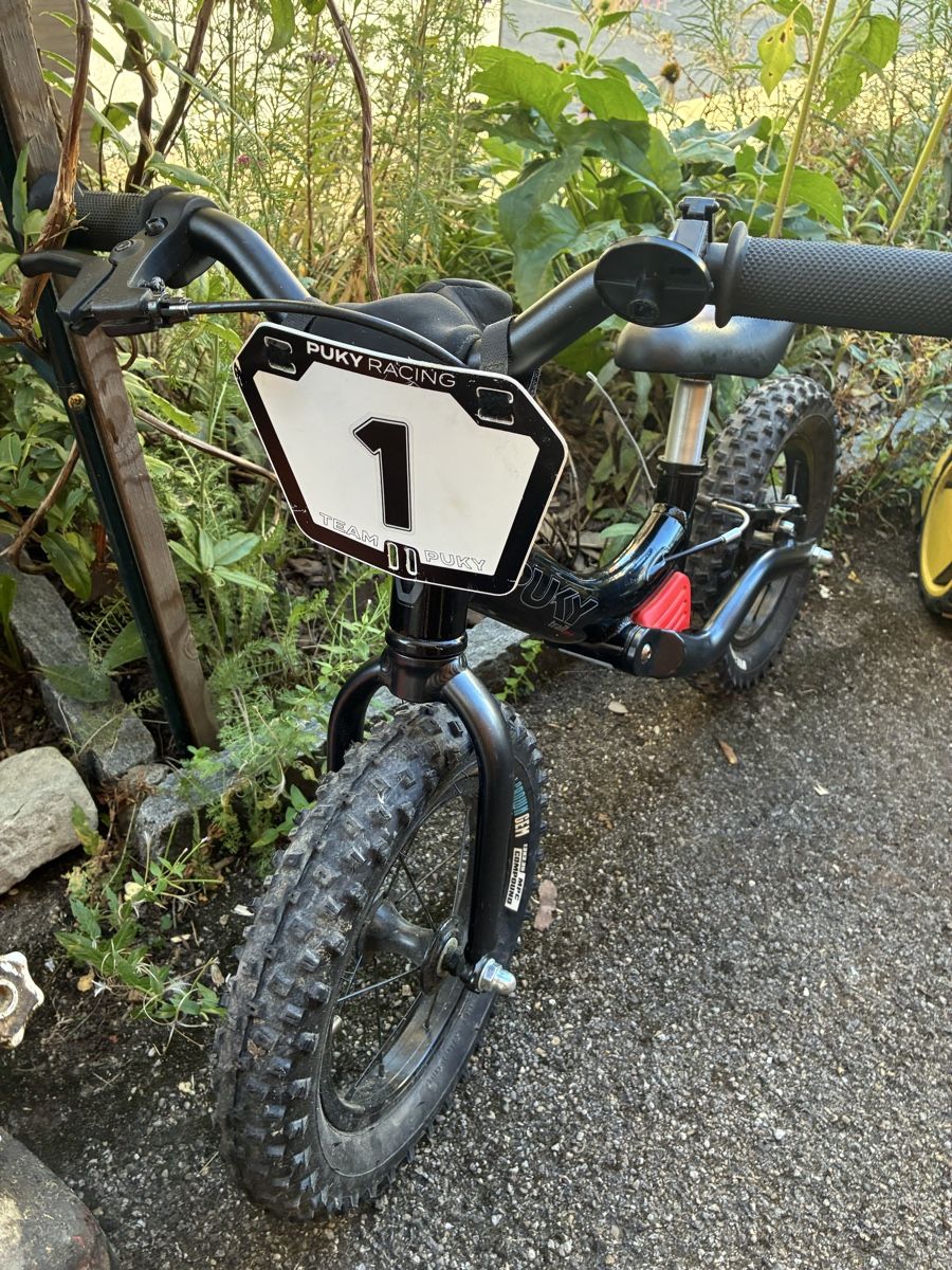 Puky Biciclette: Puky LR Trail – Usato da Heiden venduto da Ambercay