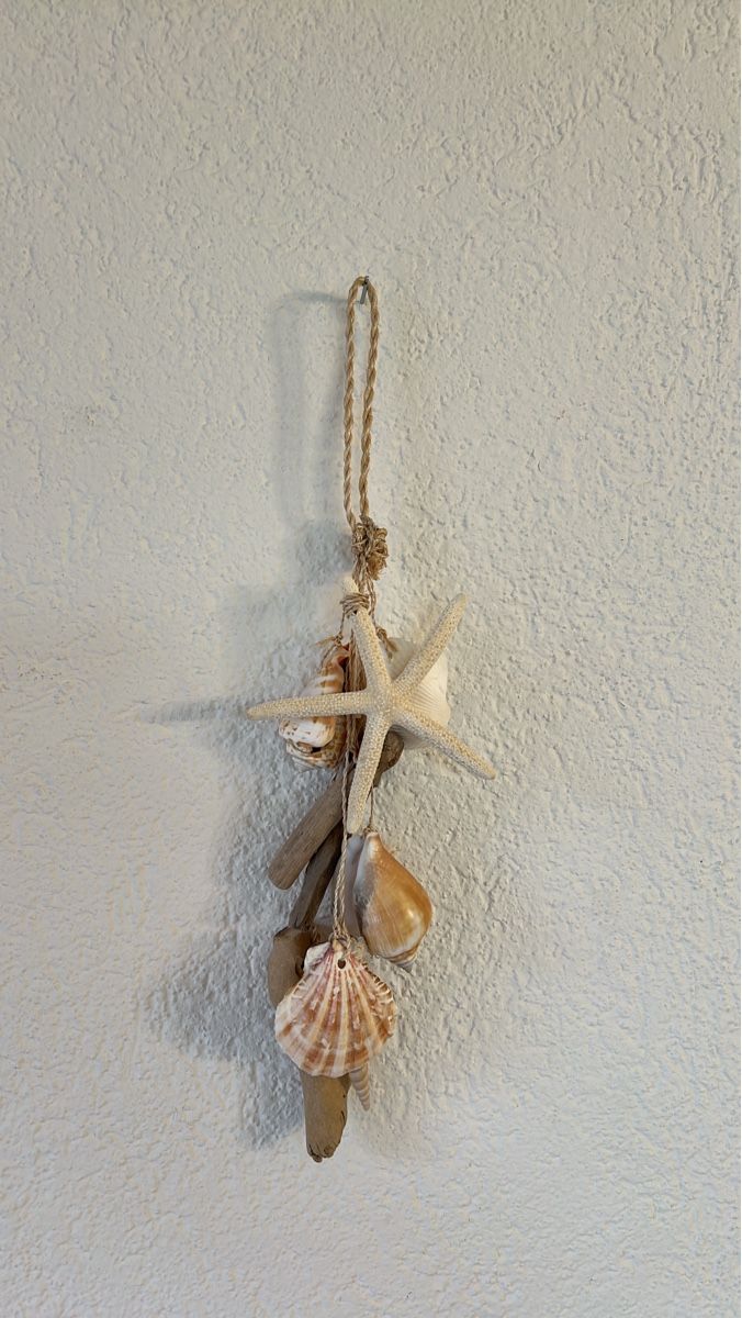 Tutte le decorazioni: maritime Deko-Hänger Muscheln Seestern – Usato da Altdorf UR venduto da JanAil