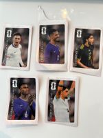 Panini WM 2026 - Coca Cola - 5 BILDER