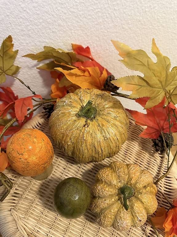 Toutes les décorations: Herbsdeko Set / Mix – D'occasion à Winterthur par fij_f65r 1