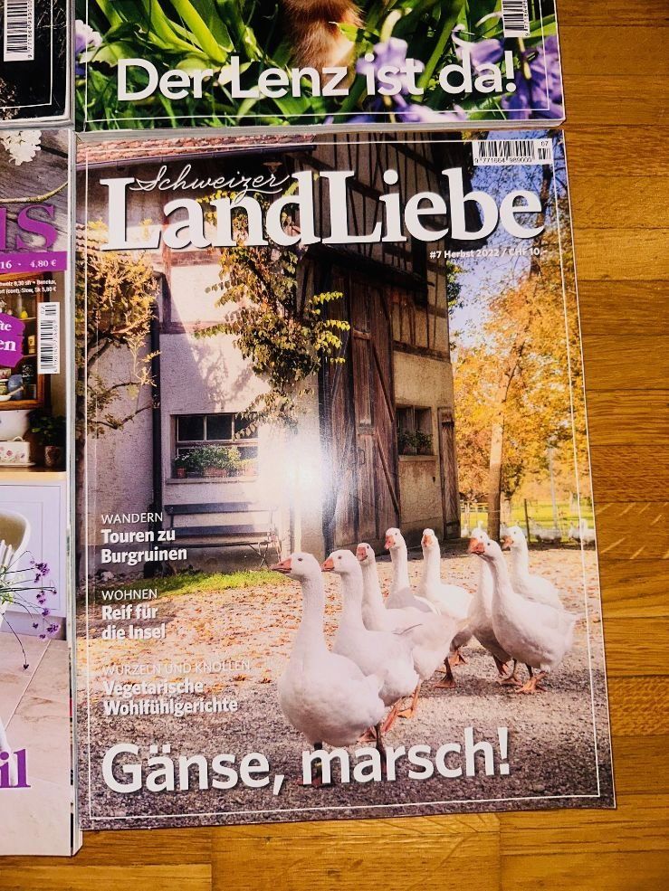 Riviste & Magazine: 4 Landliebe Magazin Ausgaben – Nuovo (secondo la descrizione) da Fällanden venduto da LetiRobi 2