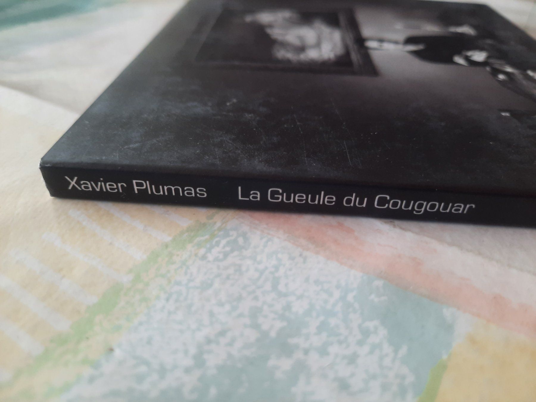 CD: Cd Xavier Plumas - La Gueule du Cougouar – Usato da Pully venduto da bro_n52j 2