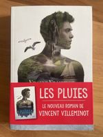 Roman Les Pluies / Vincent Villeminot
