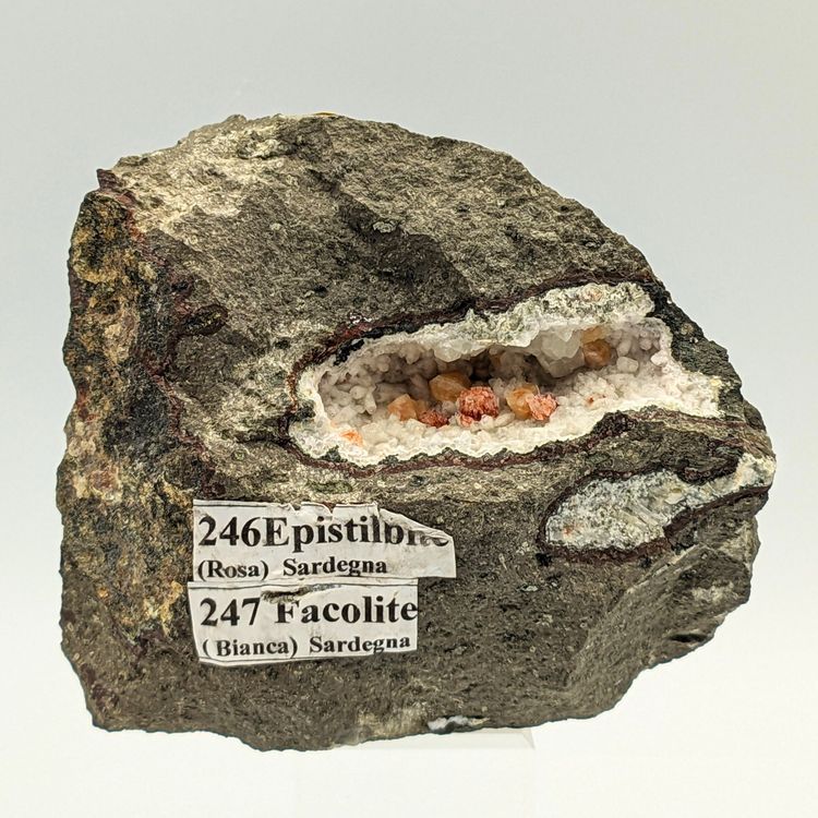 GEODE mit EPISTILBIT, PHACOLITH und CHABAZIT-Ca, Sardinien (Nuovo ...