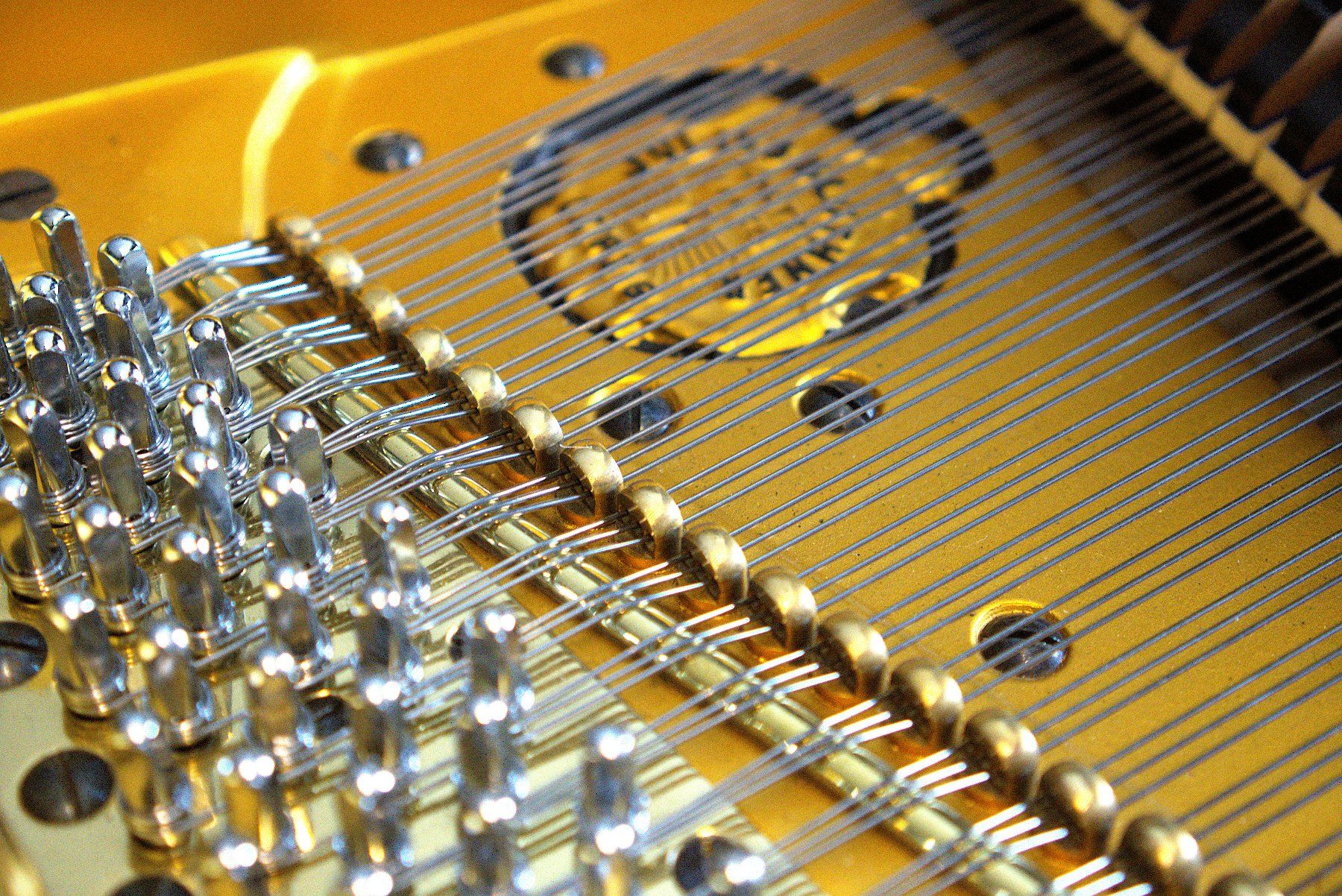 Blüthner Musikinstrumente: Flügel Blüthner 190cm Aliquot – Gebraucht aus Küttigen von PianoSarbach 9