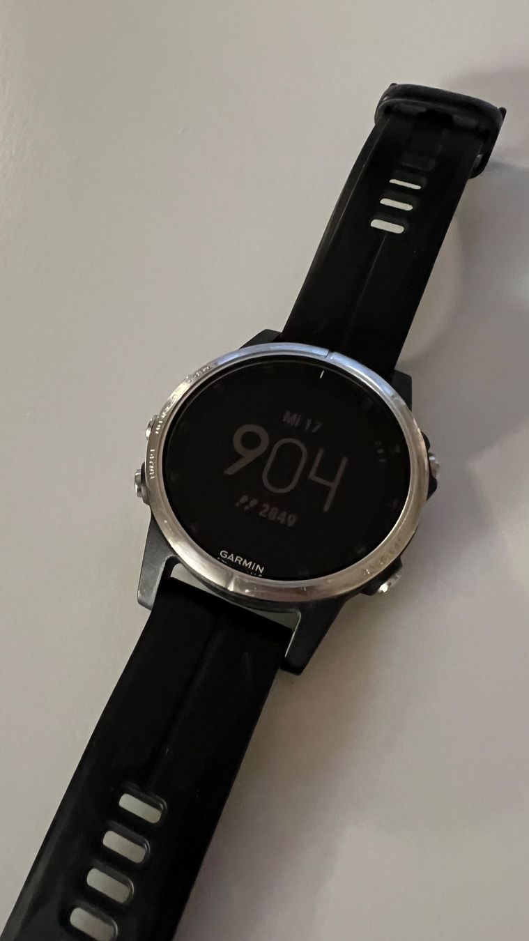 Garmin Smartwatch: Garmin Fenix 5S plus – Gebraucht aus Bern von  1