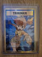 Pokemon Misty's Determination 2016