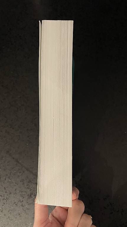 Libri: Chère Debbie - Freida Mc Fadden – Usato da Neuchâtel venduto da myr_8nf9 3