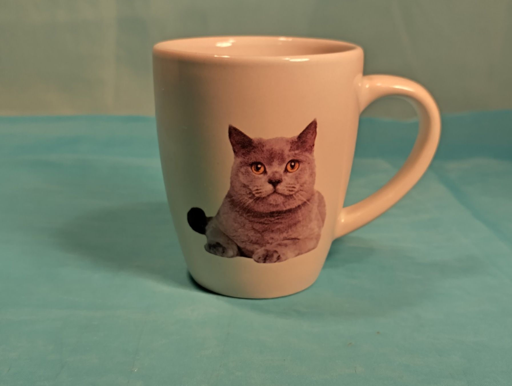 Tazze: Tasse mit Katze, Porzellan. – Nuovo (secondo la descrizione) da Bellach venduto da JingleCherry