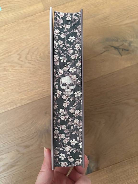 Libri: Fallen Princess von Mona Kasten – Nuovo (secondo la descrizione) da Hagendorn venduto da Sabi007 3