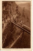 Holzreistbahn in den Bergen  1919