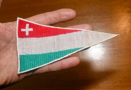 Vintage AUFNÄHER Patch BADGE Neuenbrug dreieckig