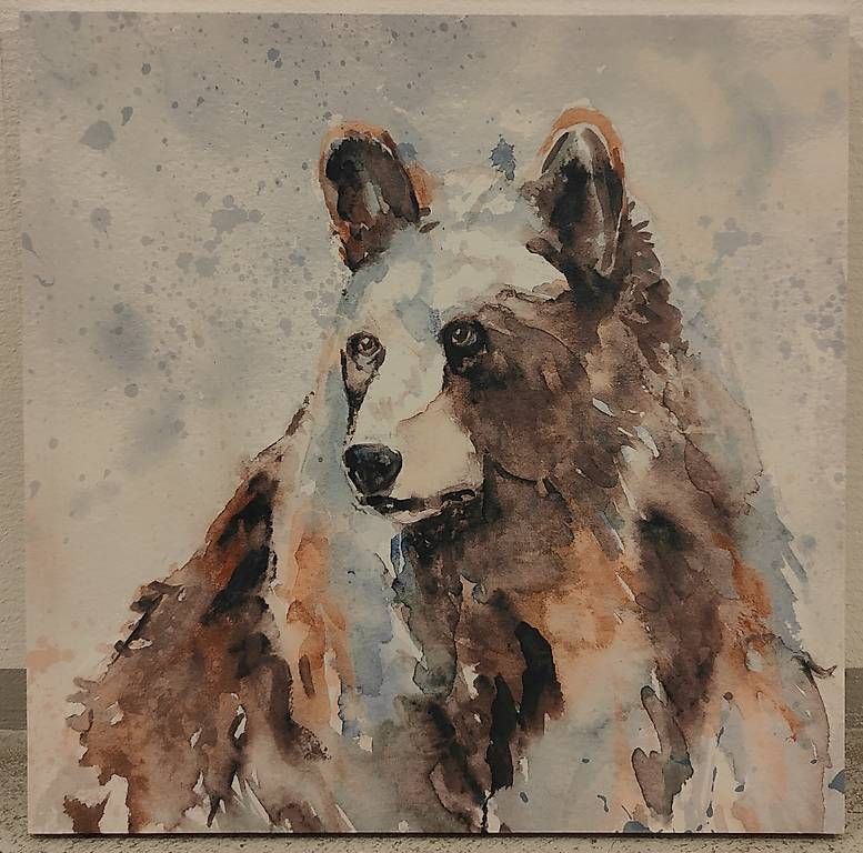 Foto & Immagini: Bild Bär 60x60cm – Usato da Boswil venduto da carfur