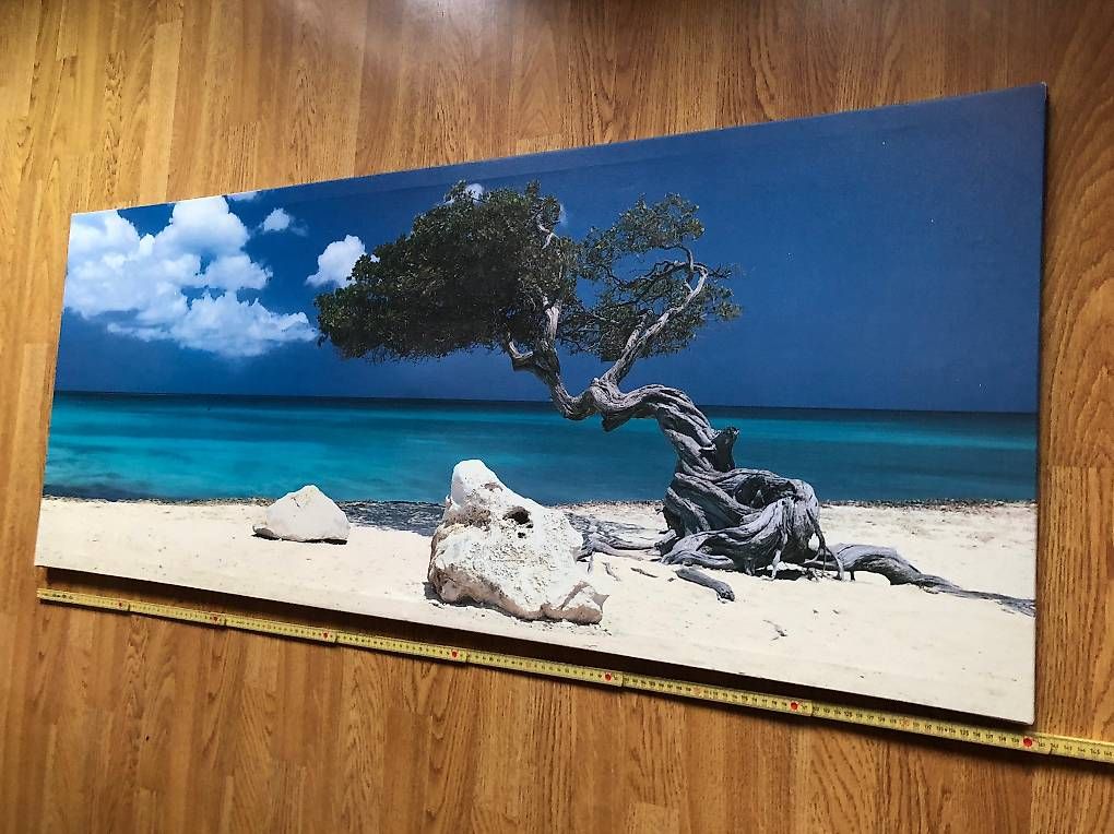 Foto & Immagini: Leinwandbild  – Usato da Matten(St.Stephan) venduto da ren_r8tw 1