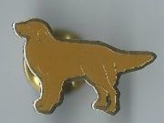 Placchette & Badge: Hunde-Pin – Usato da Zürich venduto da t24_de