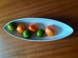 Plat à fruits en porcelaine