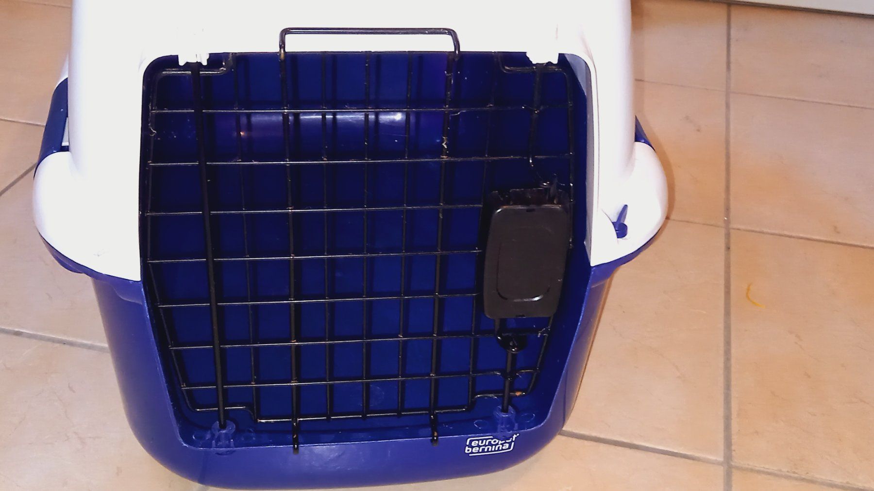 Käfige, Transport & Sicherheit: Transportbox Europet Bernina – Gebraucht aus Brünisried von san_74_bu 3