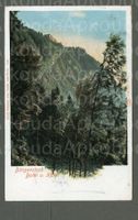 AK color Litho Bürgenstock NW Bahn und Hotel ≈ 1903