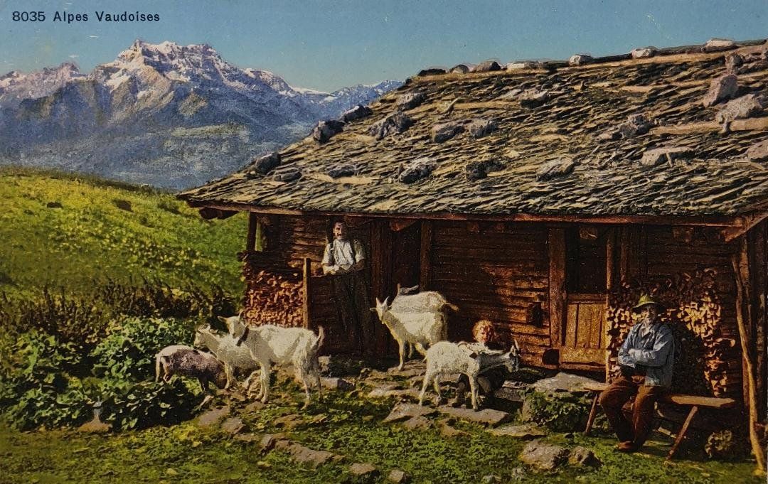Cartoline postali: ALPES Vaudoises – Usato da Delémont venduto da Domdom1