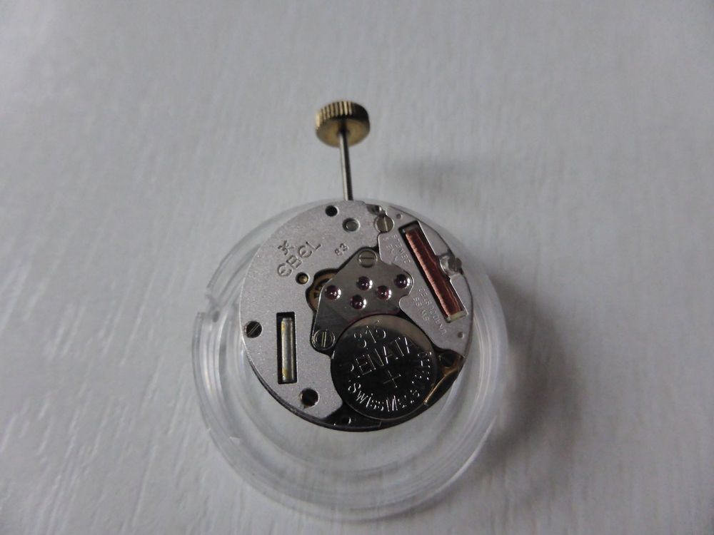 Ebel 2024 83 movement