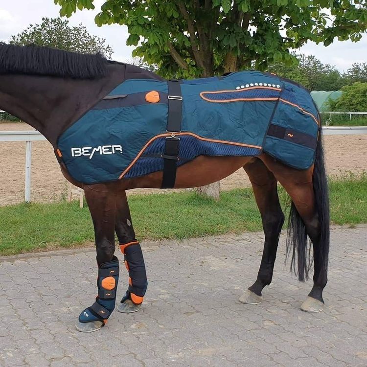 Verkaufe BEMER HorseSet Kaufen auf Ricardo