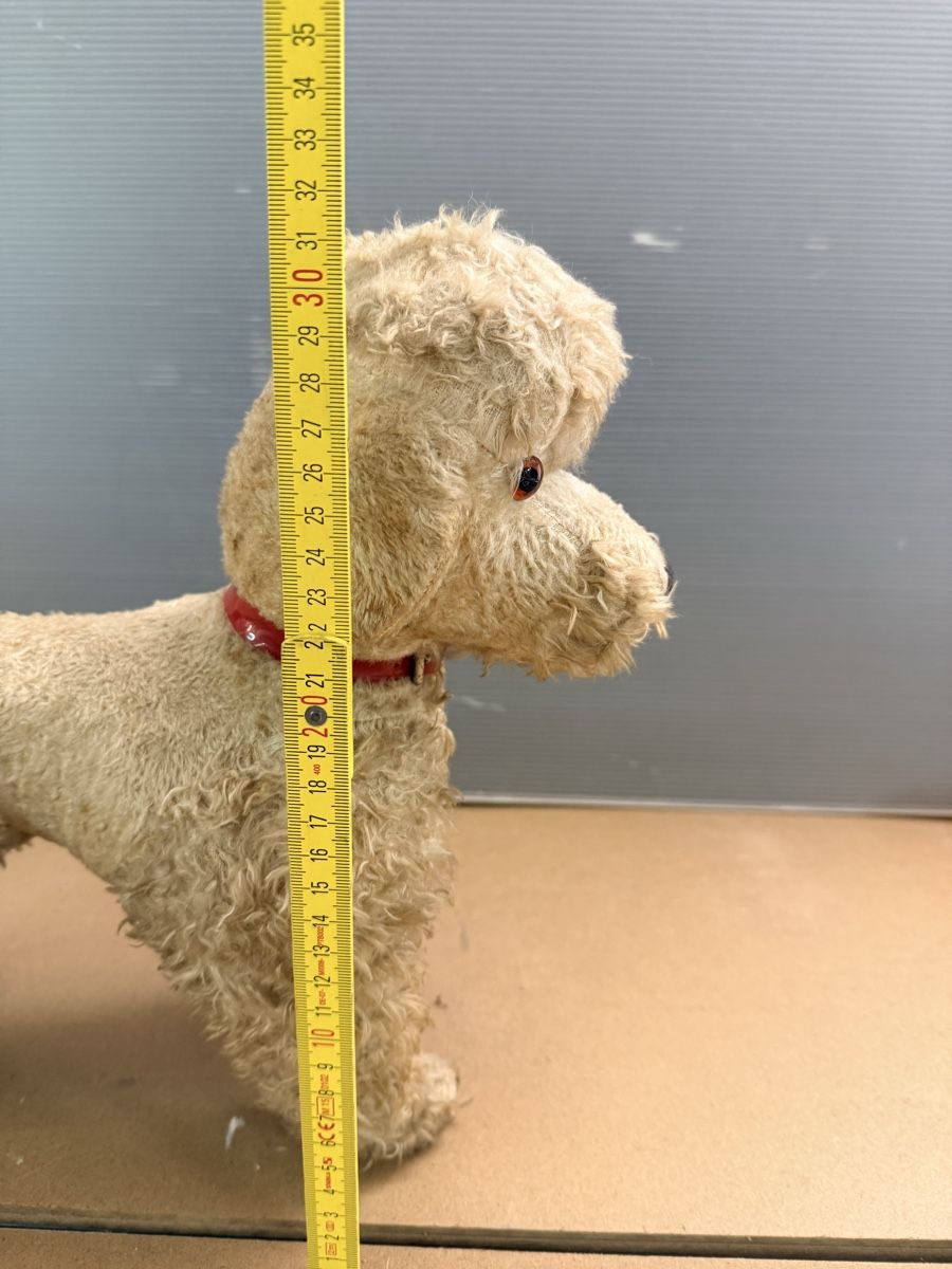 Giocattoli: Alter Plüschhund – Usato da Solothurn venduto da NUVICO 5