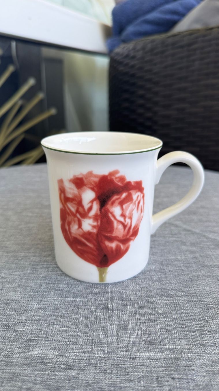 Villeroy & Boch Piatti: Villeroy Boch Tasse New – Nuovo (secondo la descrizione) da Zürich venduto da Privat4444