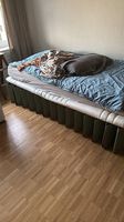 Kartonbett 