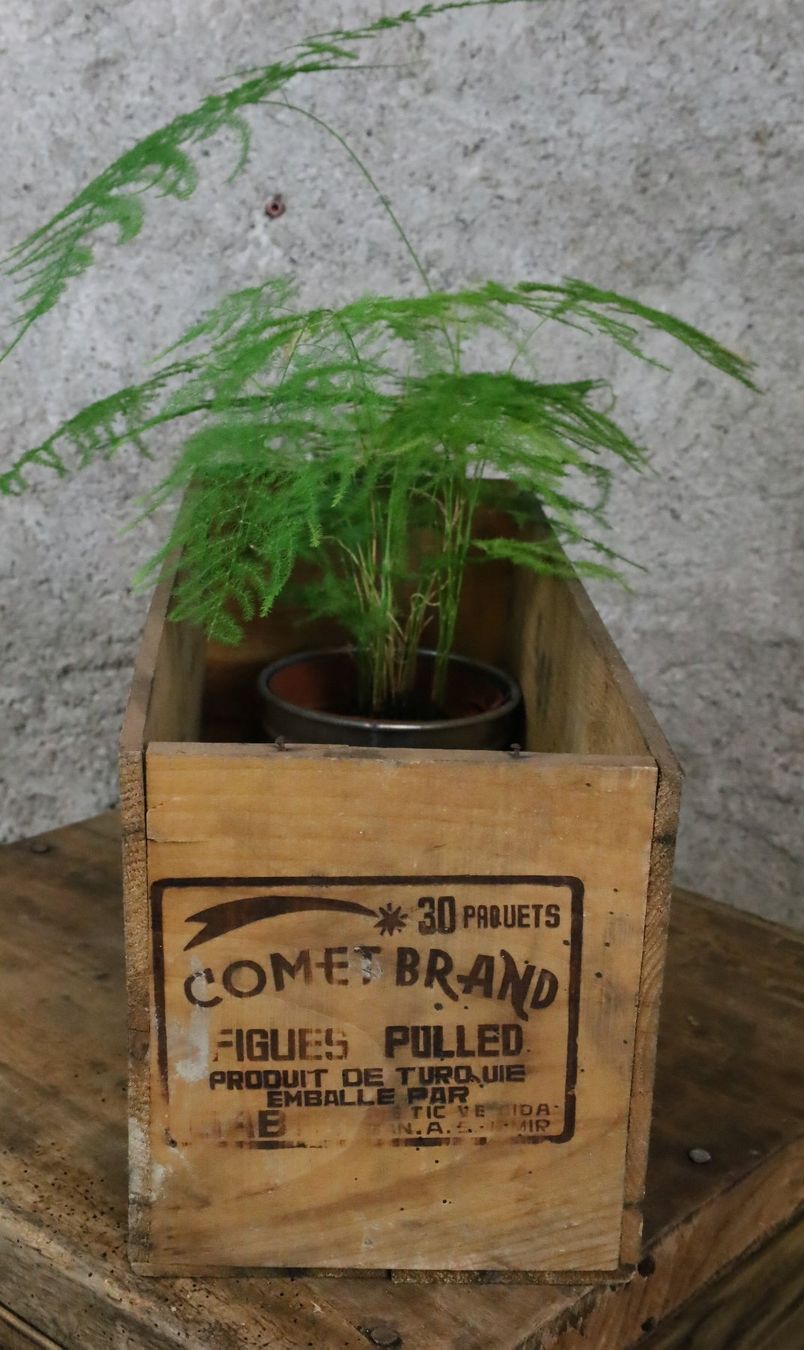 Casse di trasporto: Holzkiste, Kiste, Harass "Tiger / Comet Brand" Figues – Usato da Birrwil venduto da brandschatz_birrwil 5