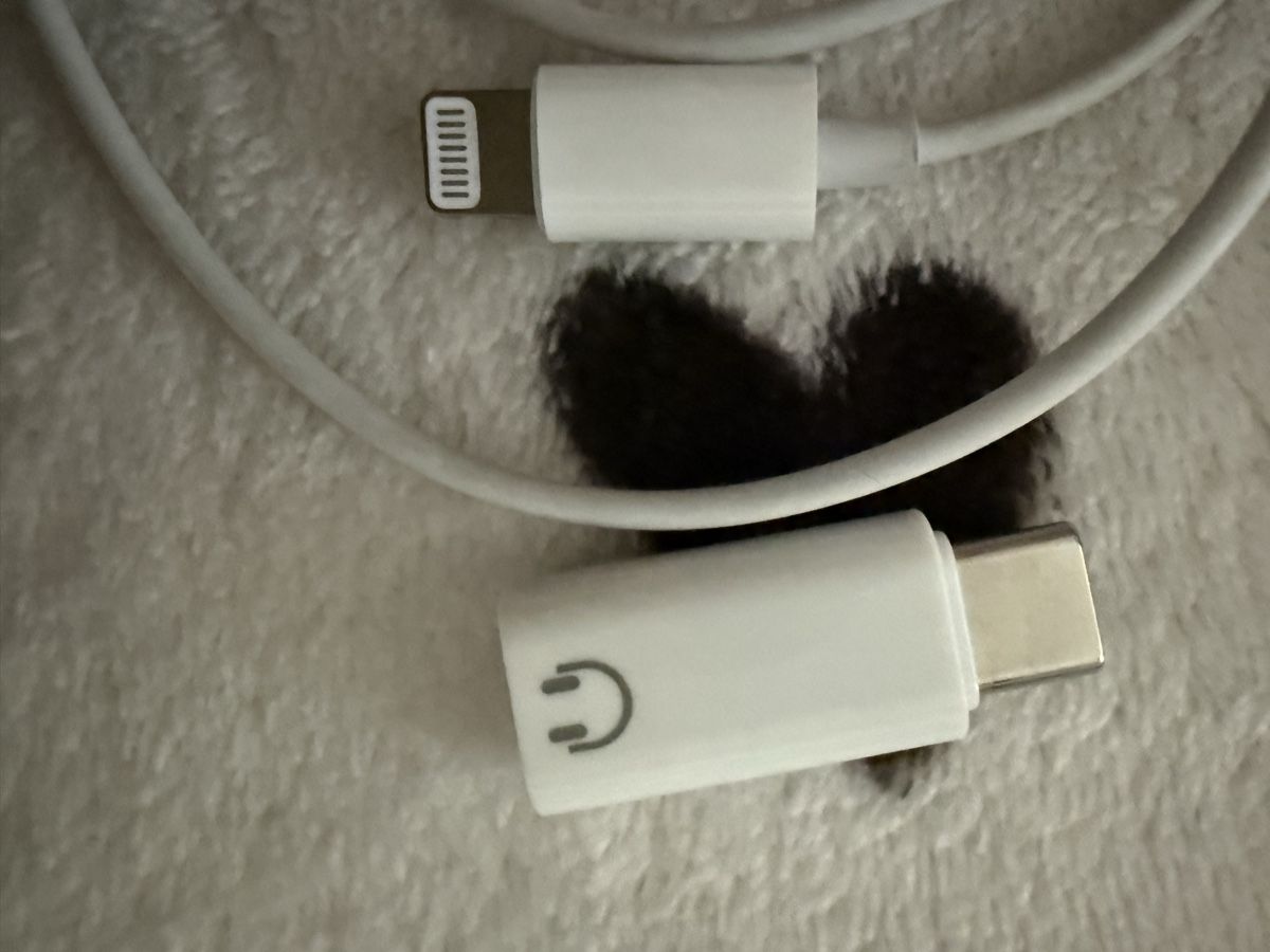 Apple Cuffie: Original Apple Kopfhörer a,plus Adapter ctype,letzter preis! – Nuovo (secondo la descrizione) da Bern venduto da First_secondhand 3