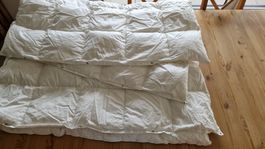 Billerbeck Daunen-Bettdecke Maloja 160x240 cm neu